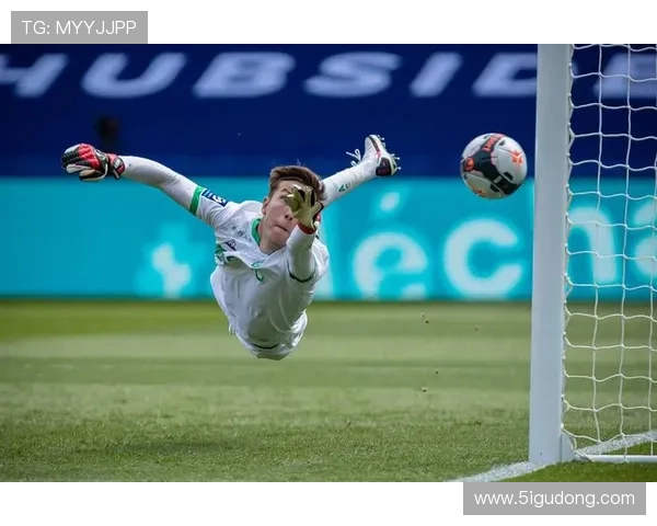 兹沃勒攻防平衡