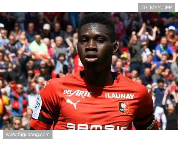 科雷亚近期表现稳健，助力球队提升英超竞争力